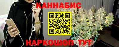 spice Камышлов