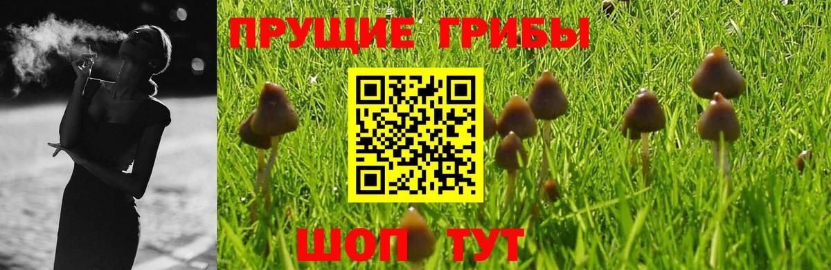 Галлюциногенные грибы GOLDEN TEACHER Куйбышев