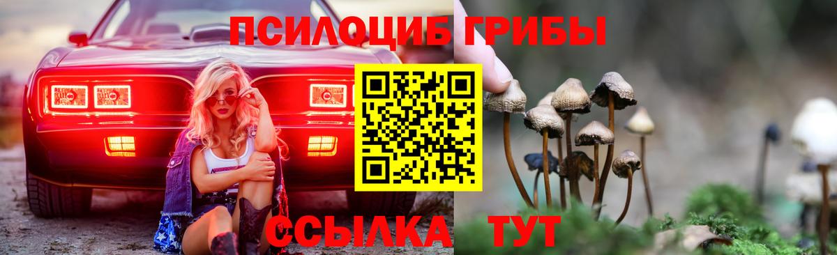 Галлюциногенные грибы Psilocybe  Вход с VPN  Куйбышев 